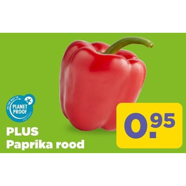Paprika rood