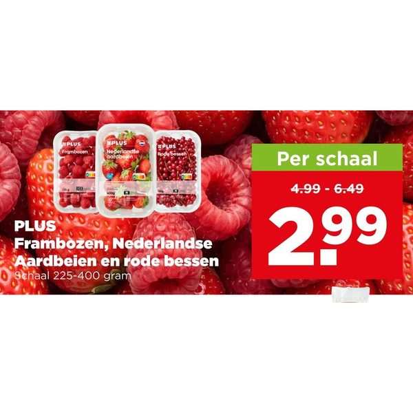 Frambozen, Nederlandse Aardbeien en rode bessen