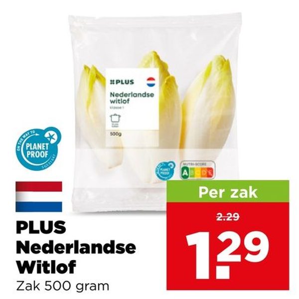 PLUS Nederlandse Witlof