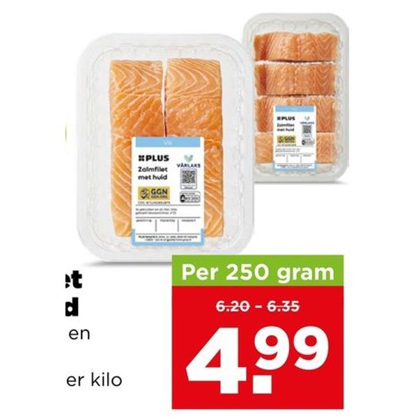 Zalmfilet met huid