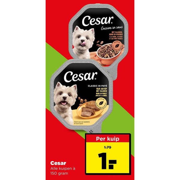 Cesar kuipjes