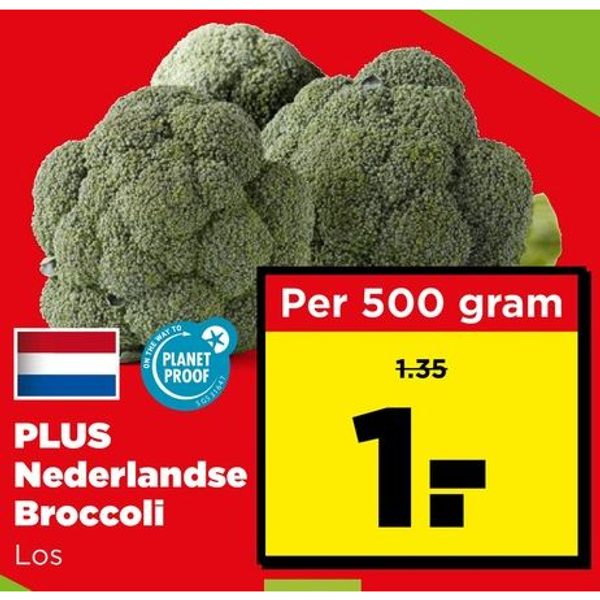 PLUS Nederlandse Broccoli