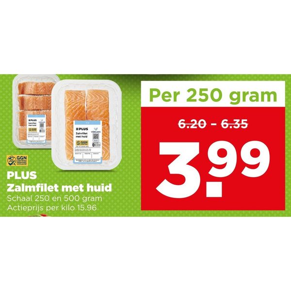 Zalmfilet met huid
