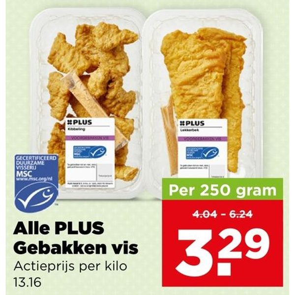 PLUS Gebakken vis