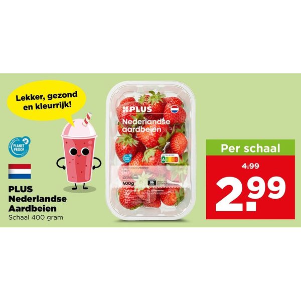 PLUS Nederlandse Aardbeien