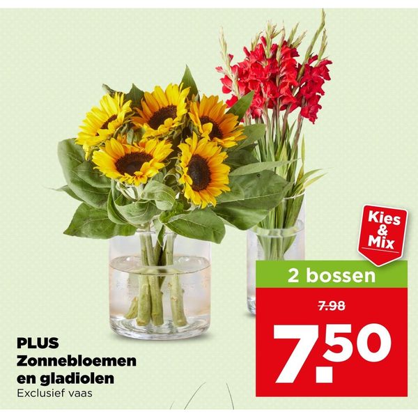PLUS Zonnebloemen en gladiolen