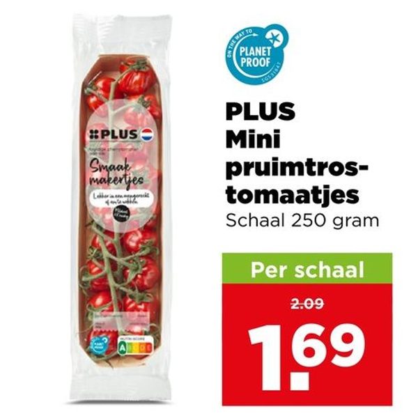 PLUS Mini pruimtros-tomaatjes