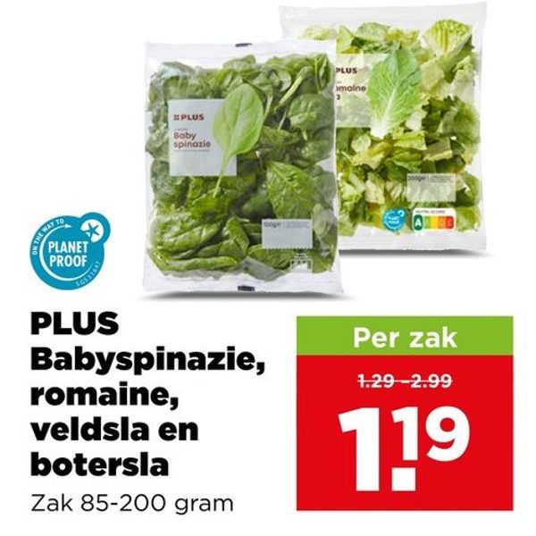 Babyspinazie, romaine, veldsla en botersla