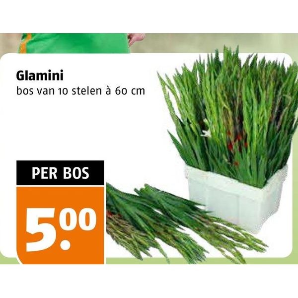 Glamini