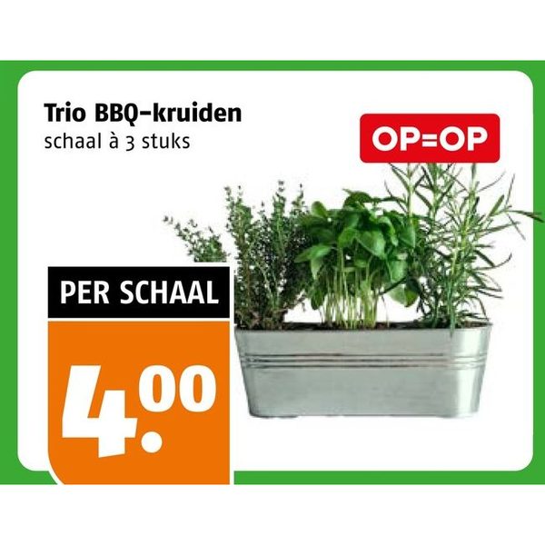 Trio BBQ-kruiden