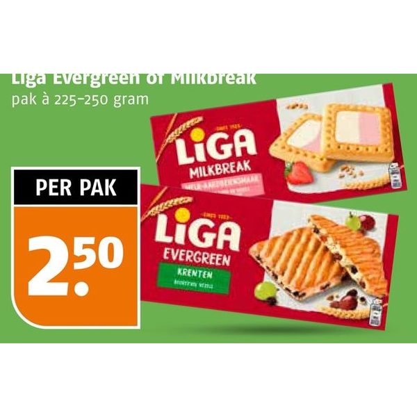 Liga Evergreen of Milkbreak