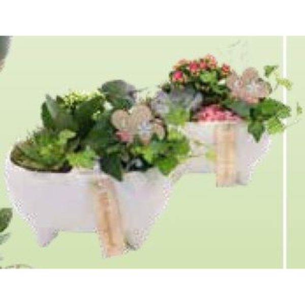 Arrangementen (middel)