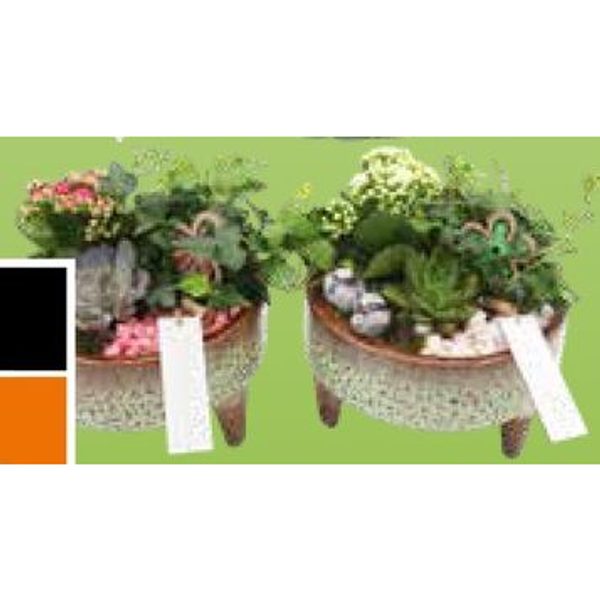 Arrangementen (schaal)