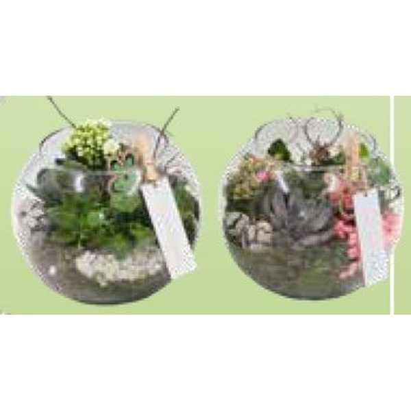 Arrangementen (glas)