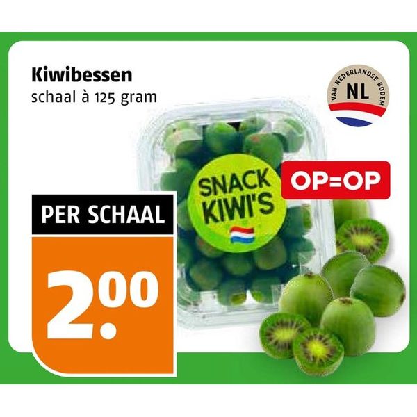 Kiwibessen