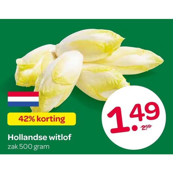 Hollandse witlof