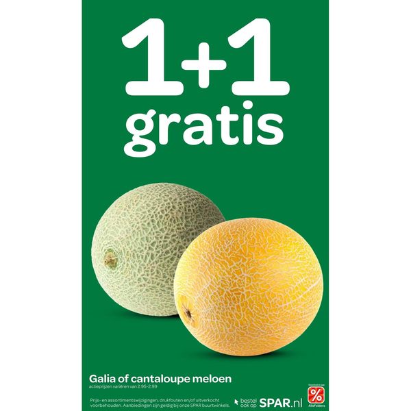 Galia of cantaloupe meloen