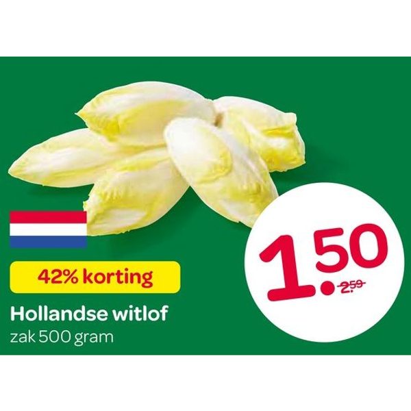 Hollandse witlof