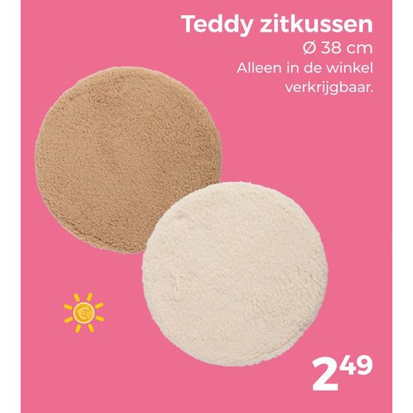 Teddy zitkussens