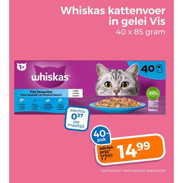 Kattenvoer in gelei Vis