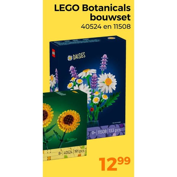 LEGO Botanicals bouwset