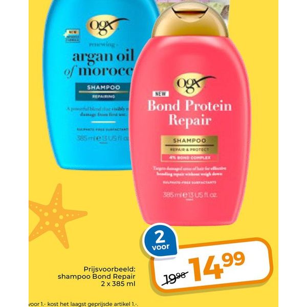 Argan Oil en Bond Protein Repair Shampoo