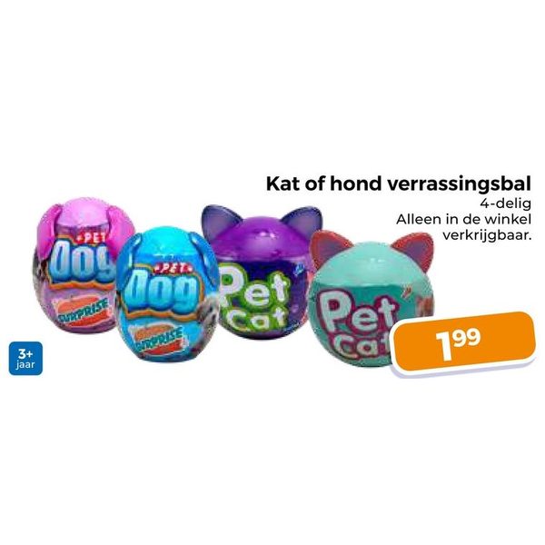 Kat of hond verrassingsbal