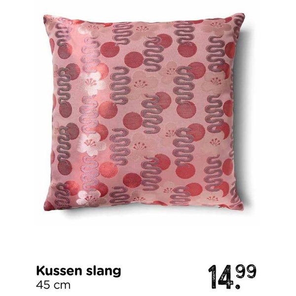 Kussen slang