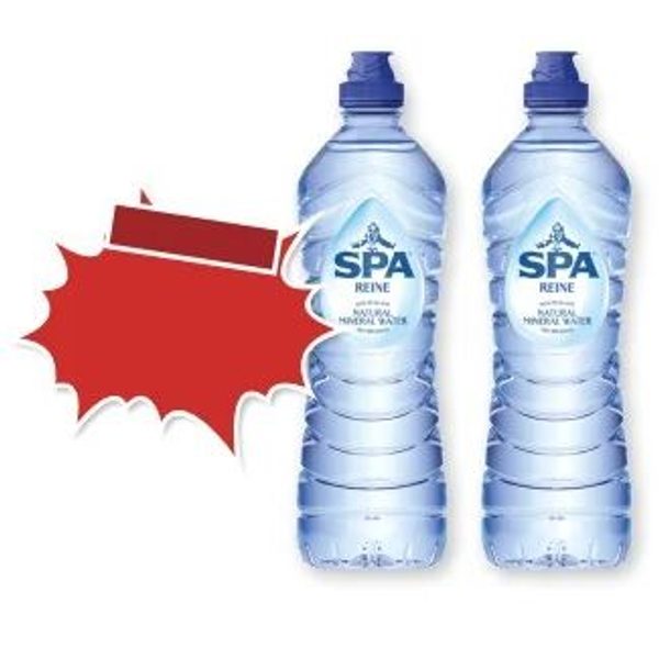Spa Reine