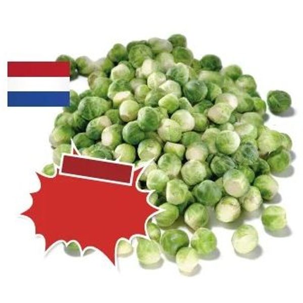 Spruiten