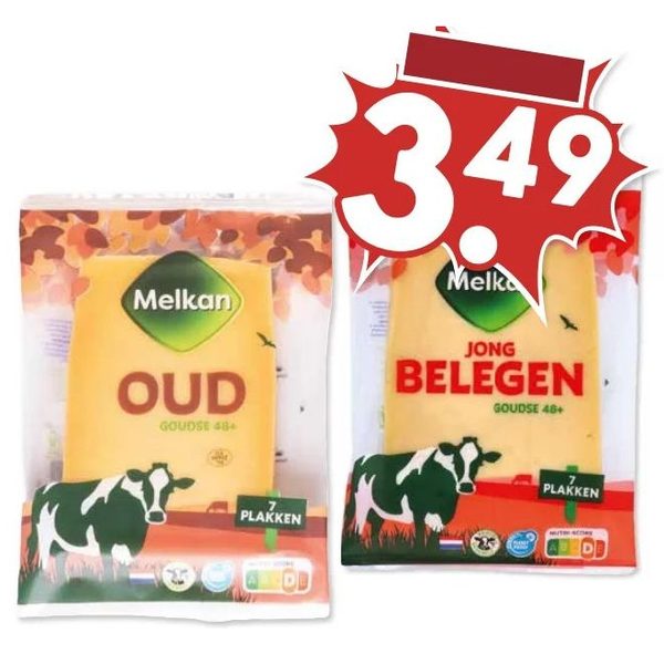 Melkan Goudse kaas 48+ (Oud of Jong Belegen)