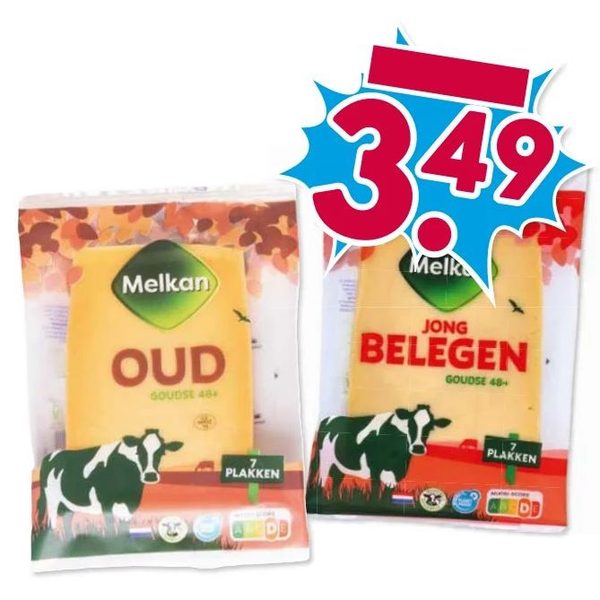 Goudse 48+ kaasplakken