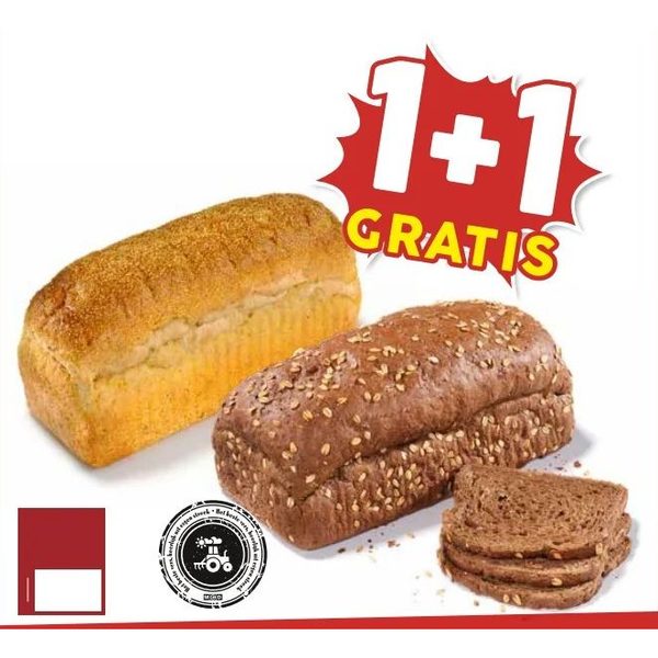 MCD brood