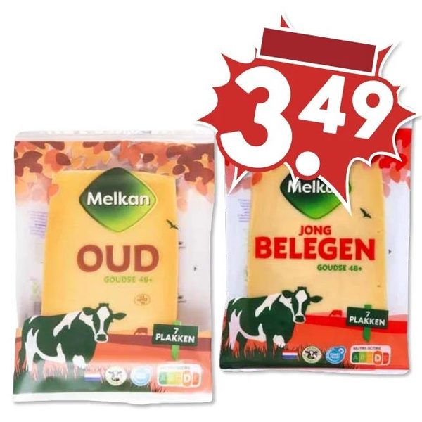 Goudse 48+ kaasplakken