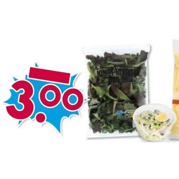 Jonge bladsla, aardappelsalade en verse frites