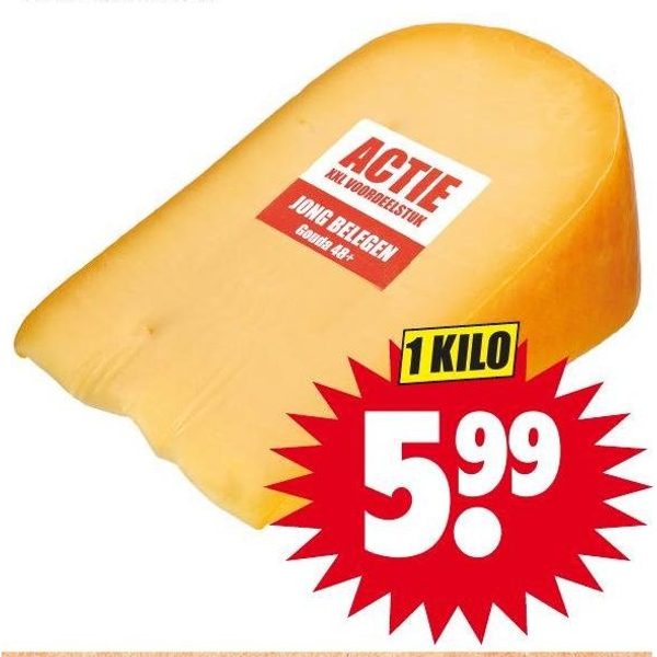 Goudse jong belegen kaas 48+