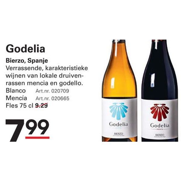 Godelia Blanco / Mencia