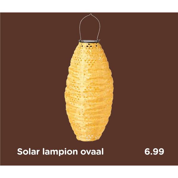 Solar lampion ovaal