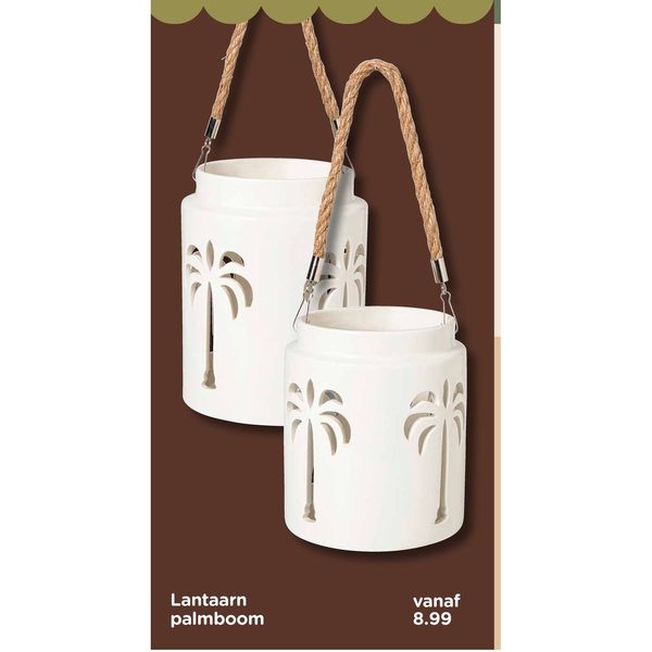 Lantaarn palmboom
