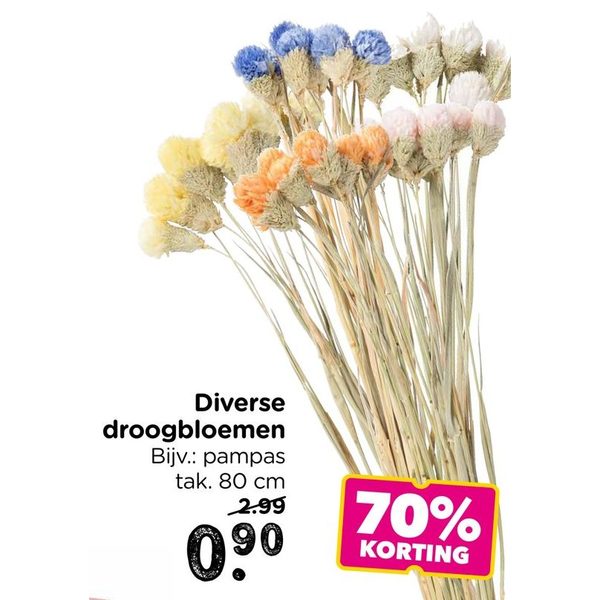 Diverse droogbloemen