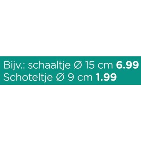 schaaltje Ø 15 cm