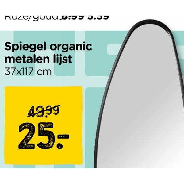 Spiegel organic metalen lijst 37x117 cm